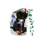 オリバーとパンの日常です（個別スタンプ：13）