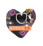 オリバーとパンの日常です（個別スタンプ：16）