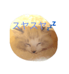 らむりんスタンプ（個別スタンプ：8）
