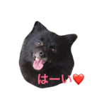 kuma_nosuke！（個別スタンプ：2）