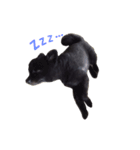 kuma_nosuke！（個別スタンプ：3）