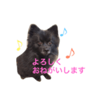 kuma_nosuke！（個別スタンプ：5）