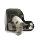 しらスタンプ（個別スタンプ：1）