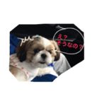 タラコちゃんのスタンプ（個別スタンプ：1）