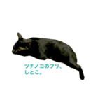 黒猫だけど、はまち。〜やる気ない編（個別スタンプ：3）