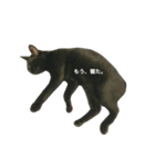黒猫だけど、はまち。〜やる気ない編（個別スタンプ：8）