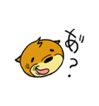 カワウソくんとカピバラくん（個別スタンプ：3）