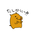 カワウソくんとカピバラくん（個別スタンプ：34）