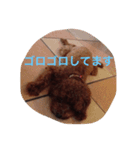 モカ＆コナ お気楽スタンプ（個別スタンプ：1）