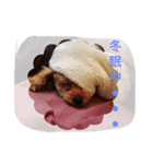 モカ＆コナ お気楽スタンプ（個別スタンプ：2）
