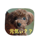 モカ＆コナ お気楽スタンプ（個別スタンプ：3）
