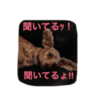 モカ＆コナ お気楽スタンプ（個別スタンプ：4）