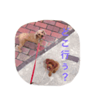 モカ＆コナ お気楽スタンプ（個別スタンプ：5）