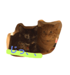 ねこちゃんちゃん！（個別スタンプ：5）