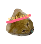 ねこちゃんちゃん！（個別スタンプ：6）