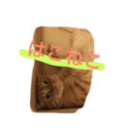 ねこちゃんちゃん！（個別スタンプ：7）