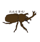 taiwan beetles（個別スタンプ：3）