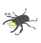 taiwan beetles（個別スタンプ：5）