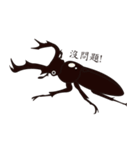 taiwan beetles（個別スタンプ：6）