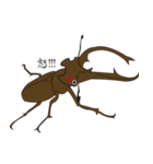 taiwan beetles（個別スタンプ：8）