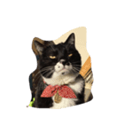 Do not bother！！（個別スタンプ：2）