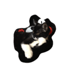 Do not bother！！（個別スタンプ：4）