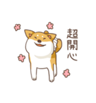 Three colors shiba inu（個別スタンプ：1）