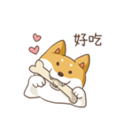 Three colors shiba inu（個別スタンプ：8）