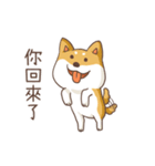 Three colors shiba inu（個別スタンプ：9）