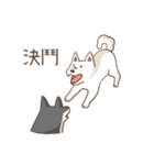 Three colors shiba inu（個別スタンプ：34）