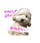 もん.ちゃん③（個別スタンプ：22）