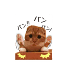 スコティッシュはるまる第4弾（個別スタンプ：1）