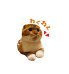 スコティッシュはるまる第4弾（個別スタンプ：4）