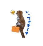 スコティッシュはるまる第4弾（個別スタンプ：12）