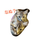 まぃみ（個別スタンプ：1）