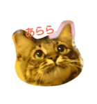 まぃみ（個別スタンプ：5）