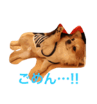 家の犬0303（個別スタンプ：10）