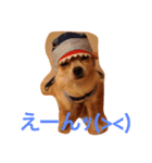 家の犬0303（個別スタンプ：13）