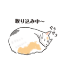 三毛猫花とモフ猫太郎（個別スタンプ：4）