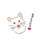 三毛猫花とモフ猫太郎（個別スタンプ：10）