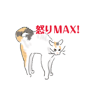 三毛猫花とモフ猫太郎（個別スタンプ：11）