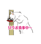 三毛猫花とモフ猫太郎（個別スタンプ：16）