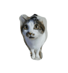 うふふねこーず（個別スタンプ：5）