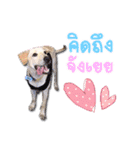 Mheeyukloveu（個別スタンプ：1）