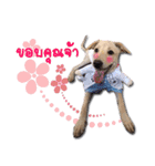 Mheeyukloveu（個別スタンプ：2）
