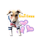 Mheeyukloveu（個別スタンプ：4）