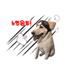 Mheeyukloveu（個別スタンプ：6）