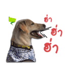 Mheeyukloveu（個別スタンプ：11）