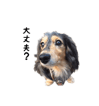DACHS circle of friends 1（個別スタンプ：4）