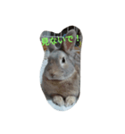 fivebrother（個別スタンプ：3）